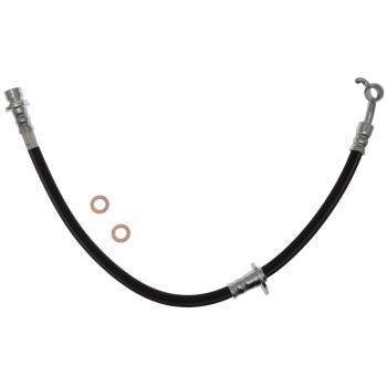 Raybestos BH384081 - Brake Hydraulic Hose Raybestos BH384081 Brake Hydraulic Hose product image 2 of 2