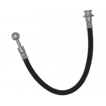 Raybestos BH38981 - Brake Hydraulic Hose Raybestos BH38981 Brake Hydraulic Hose product image 2 of 2
