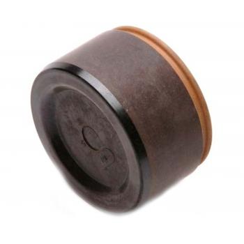 Raybestos DP85020 Disc Brake Caliper Piston product image 1 of 2