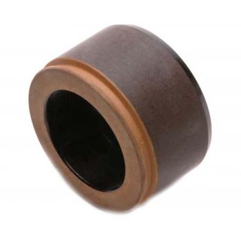 Raybestos DP85020 Disc Brake Caliper Piston product image 2 of 2