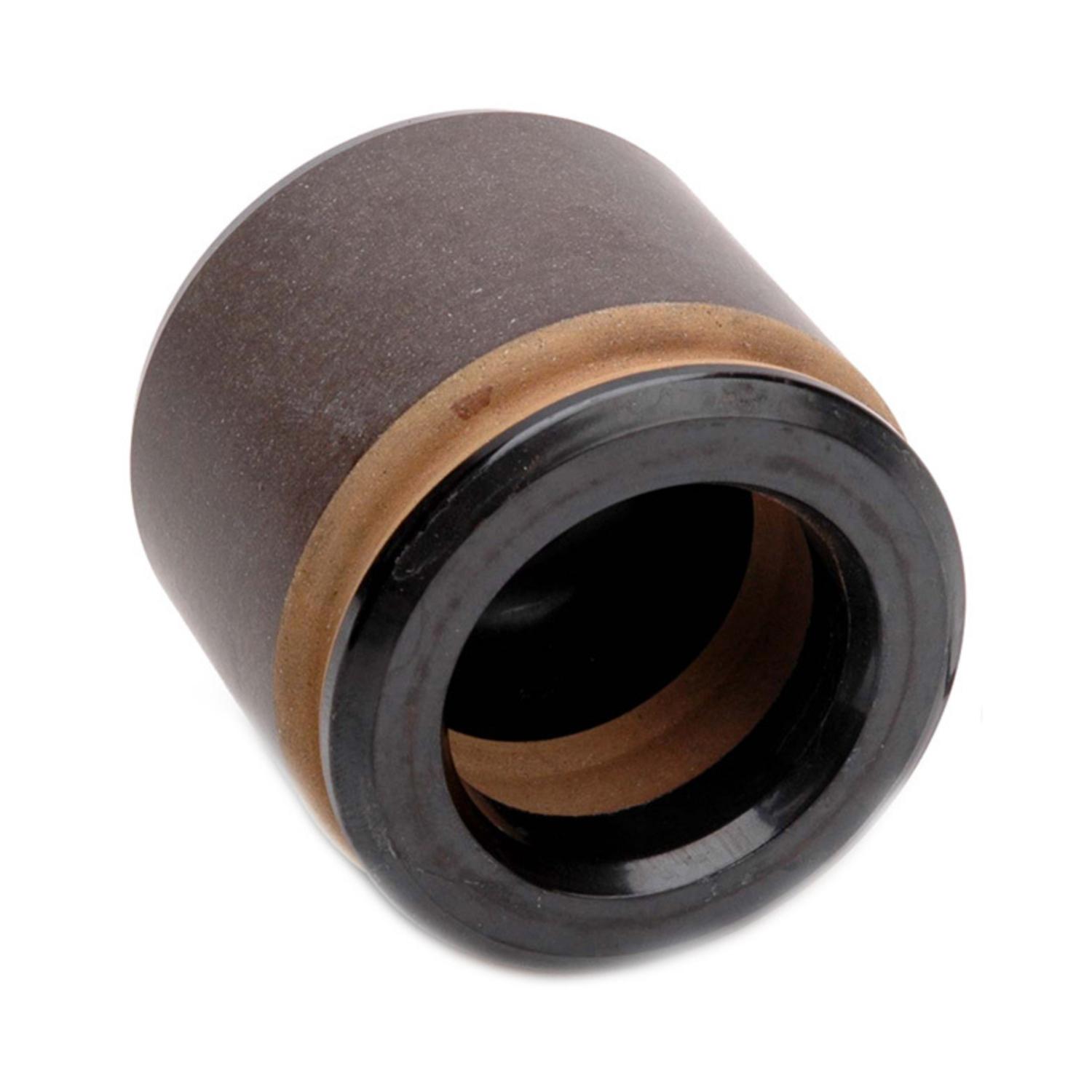 Raybestos DP85469 Disc Brake Caliper Piston product image 1 of 2