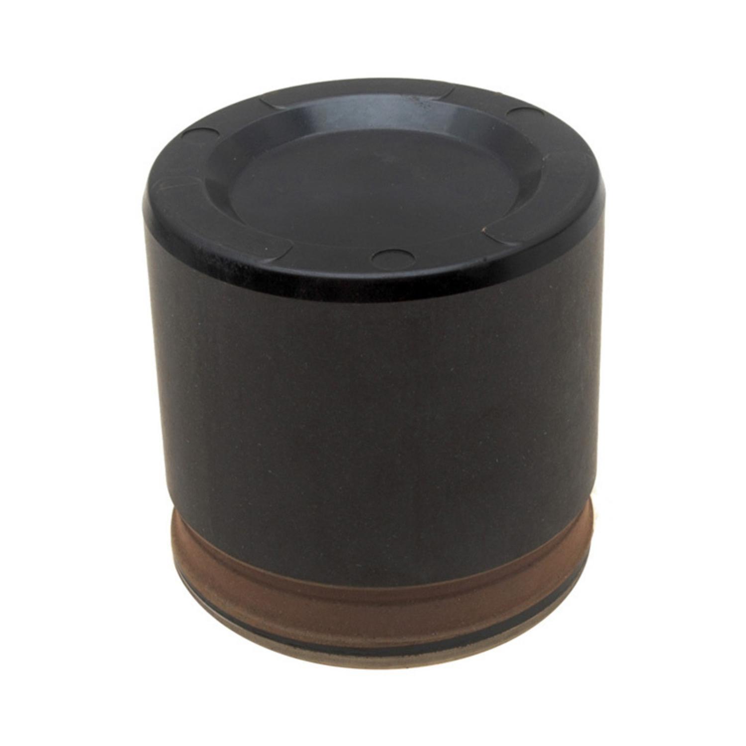 Raybestos DP85495 Disc Brake Caliper Piston product image 1 of 2