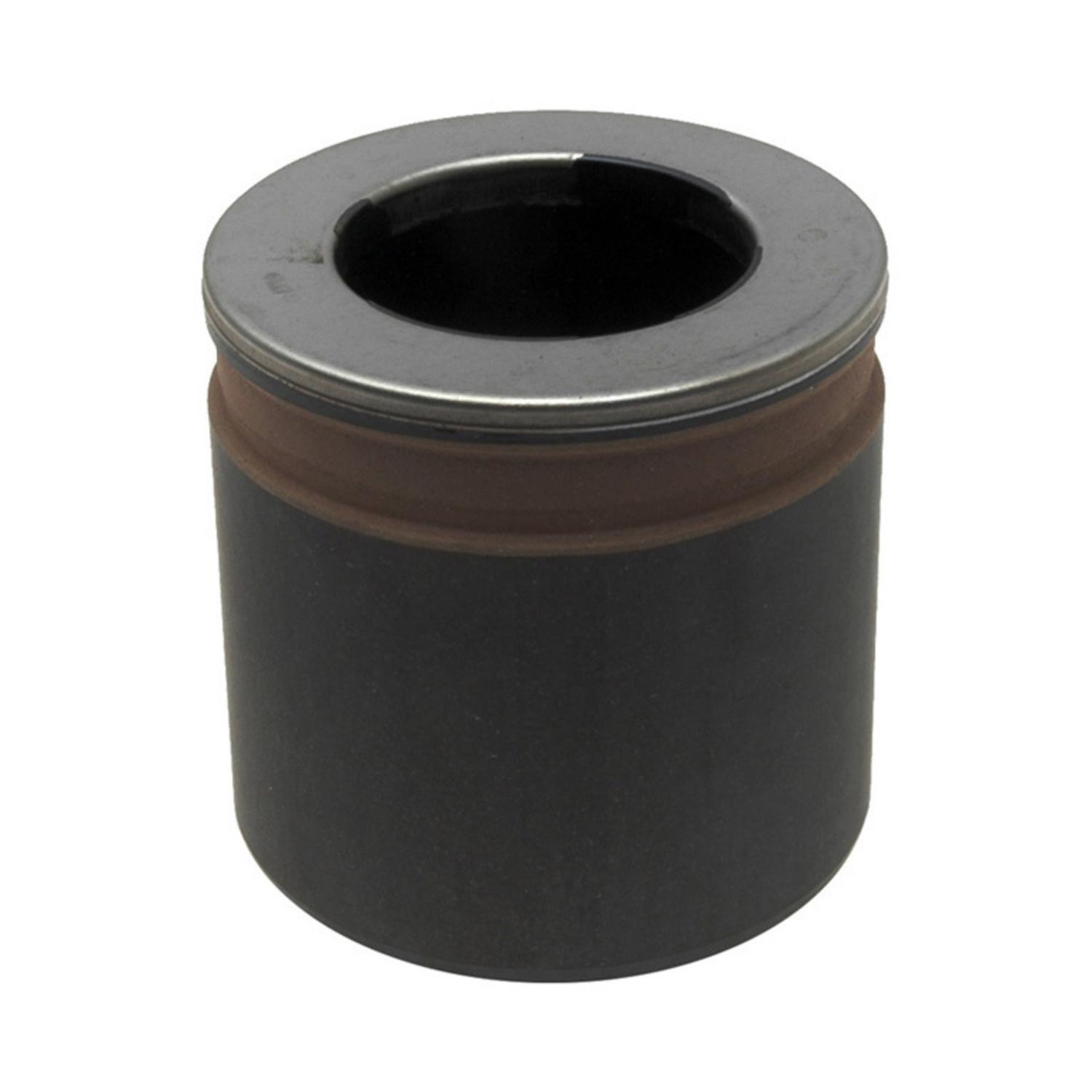 Raybestos DP85495 Disc Brake Caliper Piston product image 2 of 2