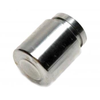 Raybestos DPS85198 Disc Brake Caliper Piston product image 1 of 2