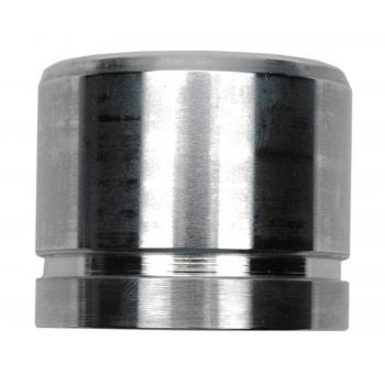 Raybestos DPS85384 Disc Brake Caliper Piston product image 2 of 2