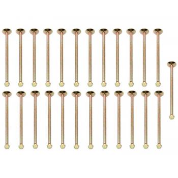 Raybestos H1091 - Drum Brake Shoe Spring Hold Down Pin Raybestos H1091 Drum Brake Shoe Spring Hold Down Pin product image 1 of 1