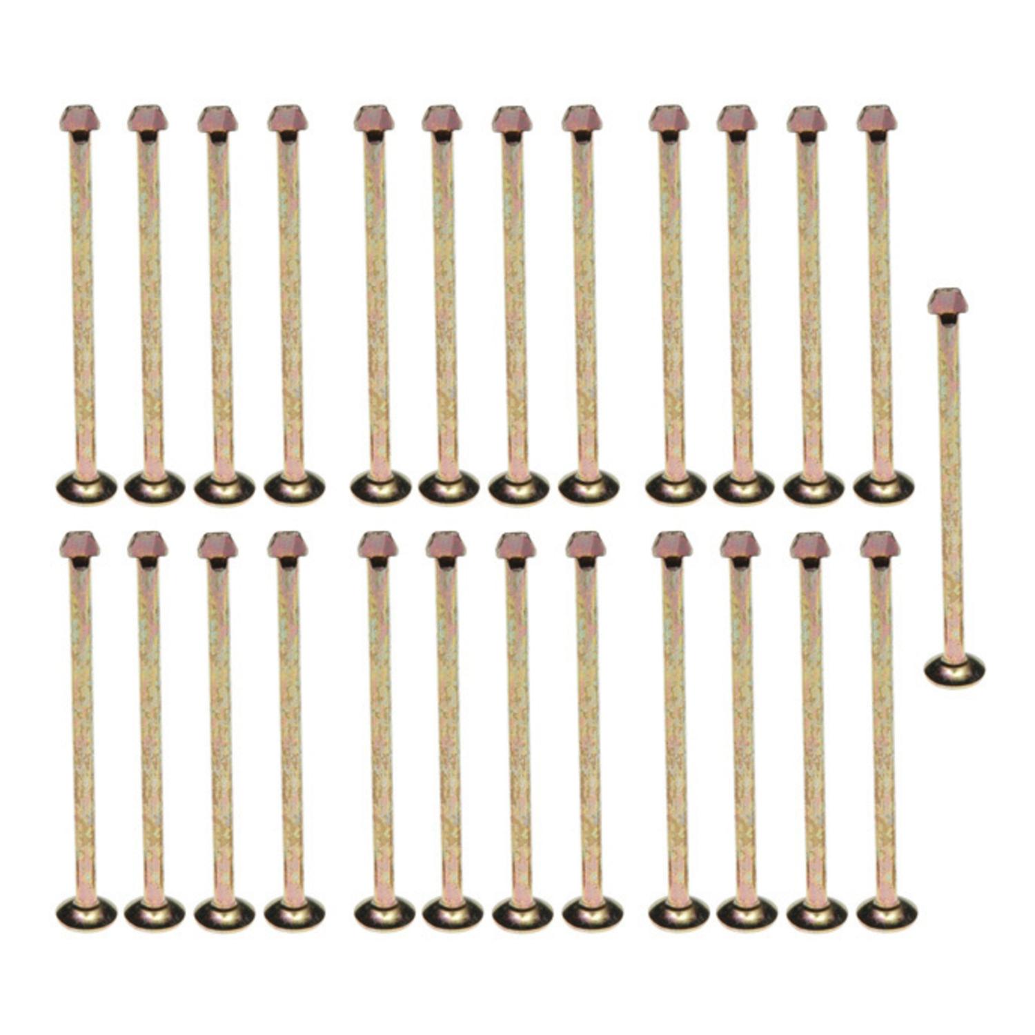 Raybestos H1110 Drum Brake Shoe Spring Hold Down Pin product image 1 of 1