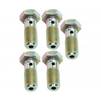 Raybestos H5373 - Brake Hydraulic Banjo Bolt Raybestos H5373 Brake Hydraulic Banjo Bolt product image 1 of 1