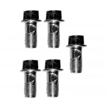 Raybestos H5376 - Brake Hydraulic Banjo Bolt Raybestos H5376 Brake Hydraulic Banjo Bolt product image 1 of 1