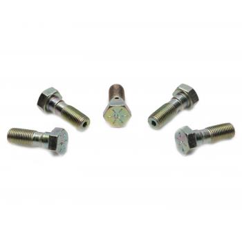Raybestos H5377 - Brake Hydraulic Banjo Bolt Raybestos H5377 Brake Hydraulic Banjo Bolt product image 1 of 1