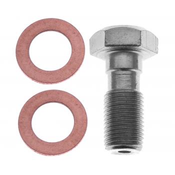Raybestos H5386 - Brake Hydraulic Banjo Bolt Raybestos H5386 Brake Hydraulic Banjo Bolt product image 1 of 1