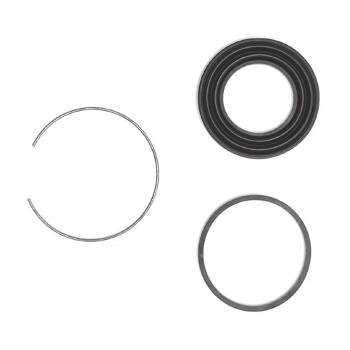 Raybestos WK1776 Disc Brake Caliper Seal Kit product image 1 of 1