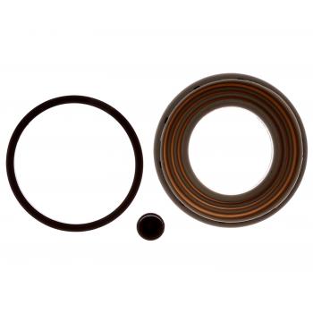 Raybestos WK477 Disc Brake Caliper Seal Kit product image 1 of 1