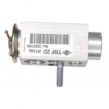 Rein Automotive ACX0105P - A/C Expansion Valve Rein Automotive ACX0105P A/C Expansion Valve product image 1 of 6