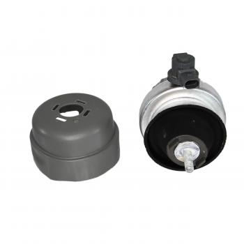 Rein Automotive AVE0497 Engine Mount product image 1 of 6