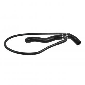 Rein Automotive CHR0020R Radiator Coolant Hose product image 1 of 6