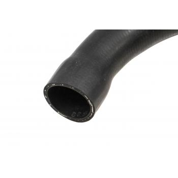 Rein Automotive CHR0056 Radiator Coolant Hose product image 3 of 9
