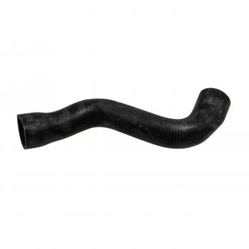 Rein Automotive CHR0082R Radiator Coolant Hose product image 3 of 6
