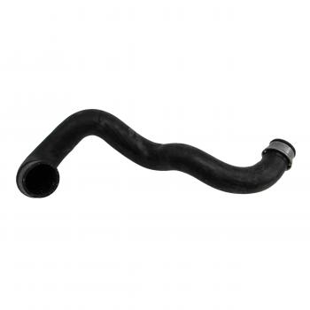 Rein Automotive CHR0183P Radiator Coolant Hose product image 1 of 6