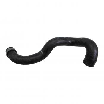 Rein Automotive CHR0183P Radiator Coolant Hose product image 2 of 6