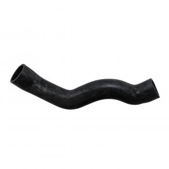Rein Automotive CHR0368R Radiator Coolant Hose product image 2 of 6