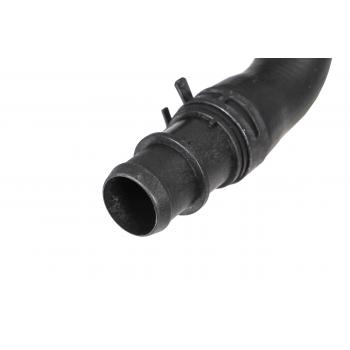 Rein Automotive CHR0444 - Radiator Coolant Hose Rein Automotive CHR0444 Radiator Coolant Hose product image 9 of 9