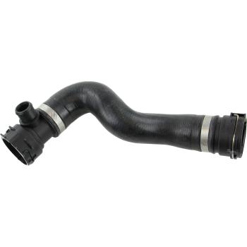 Rein Automotive CHR0711 Radiator Coolant Hose product image 6 of 6