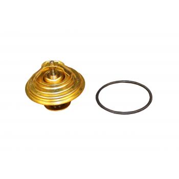 Rein Automotive CTI0001 Engine Coolant Thermostat product image 1 of 6