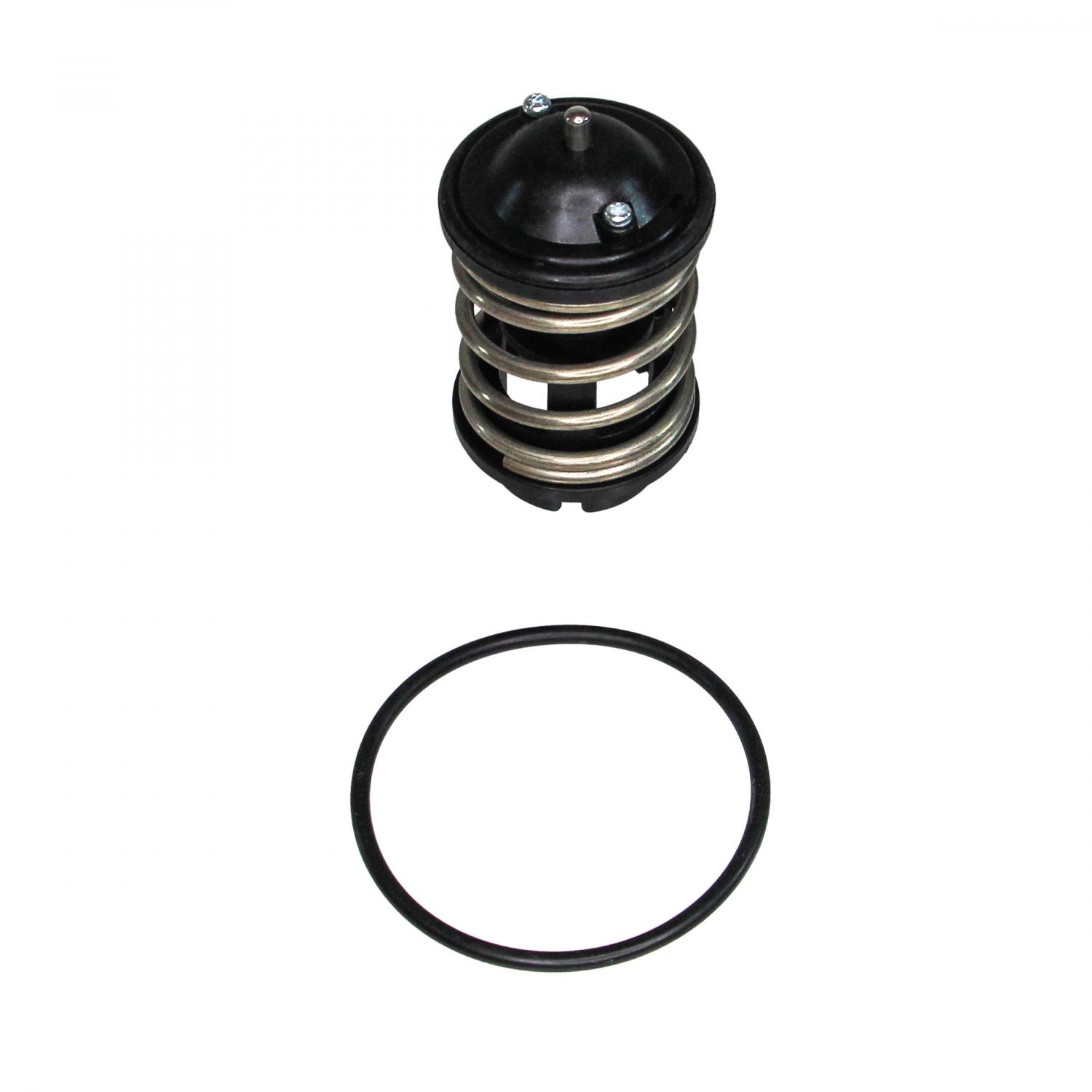 Rein Automotive CTN0025 Engine Coolant Thermostat product image 3 of 6