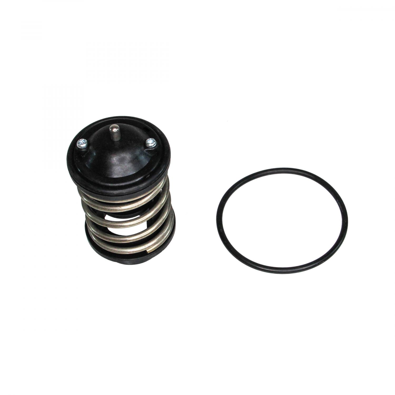 Rein Automotive CTN0025 Engine Coolant Thermostat product image 4 of 6
