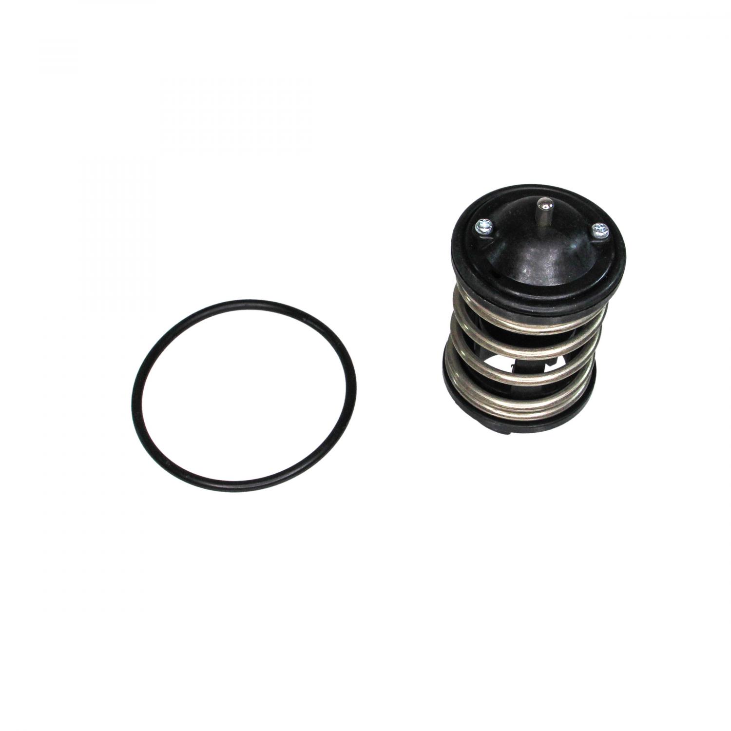 Rein Automotive CTN0025 Engine Coolant Thermostat product image 5 of 6