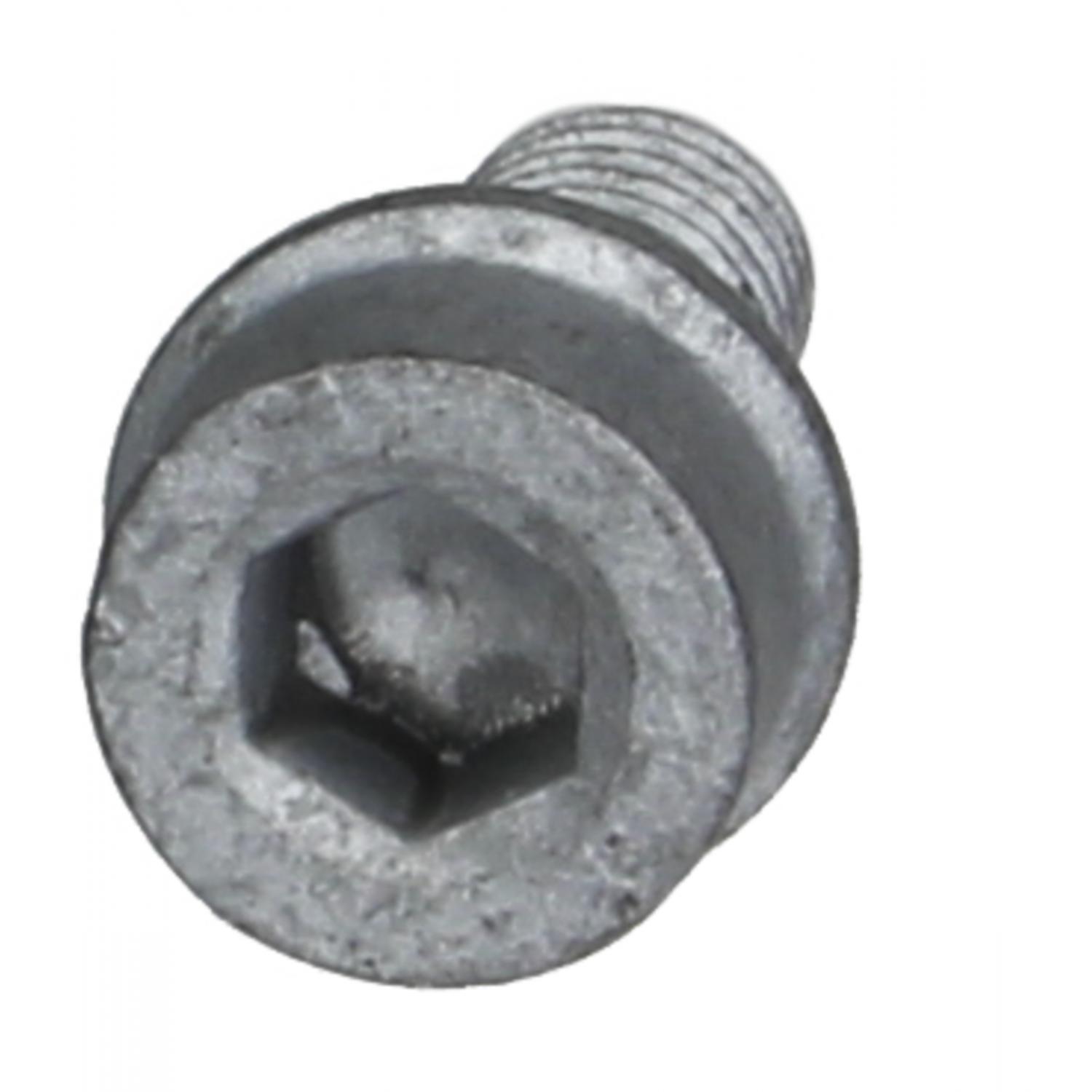 Rein Automotive HWB0059 Door Hinge Bolt product image 3 of 6