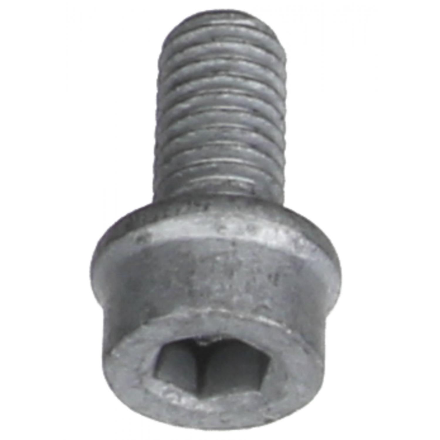 Rein Automotive HWB0059 Door Hinge Bolt product image 6 of 6