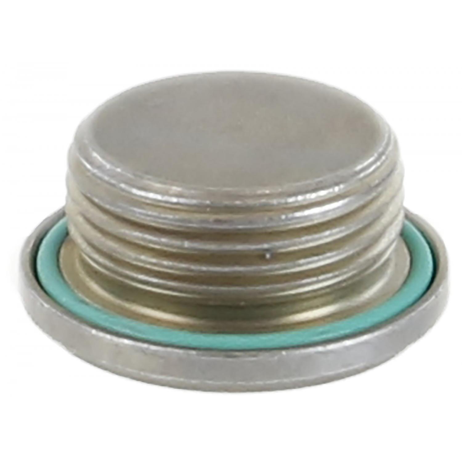Rein Automotive HWP0065 Differential Drain Plug product image 1 of 2