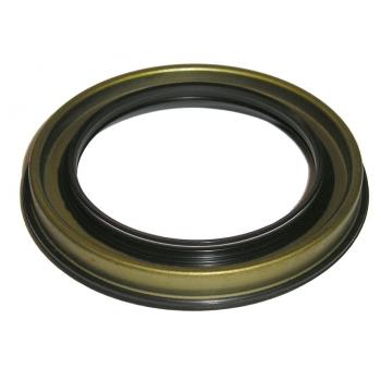 SKF 22125 Wheel Seal product image 1 of 1