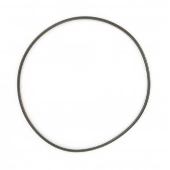 SKF 4079AA Wheel Hub O-Ring product image 1 of 2