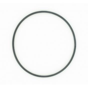 SKF 42G00 Wheel Bearing O-Ring product image 1 of 1