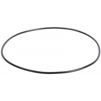 SKF 5C3Z4 - Wheel Hub O-Ring SKF 5C3Z4 Wheel Bearing O-Ring product image 1 of 1
