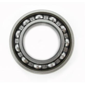 SKF 6007RSJ Wheel Bearing product image 1 of 3