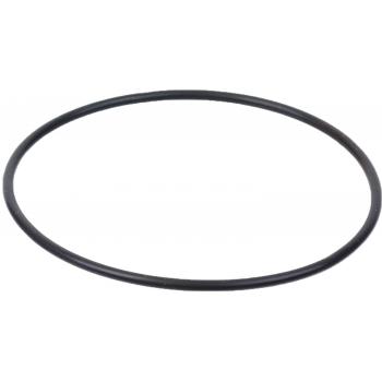 SKF 88077A Wheel Bearing O-Ring product image 1 of 1