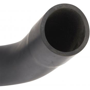 Spectra Premium FNH061 - Fuel Filler Hose Spectra Premium FNH061 Fuel Filler Hose product image 3 of 3