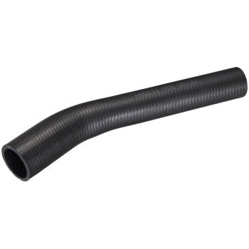 Spectra Premium FNH261 Fuel Filler Hose product image 2 of 2