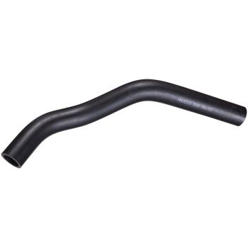 Spectra Premium FNH262 Fuel Filler Hose product image 2 of 2