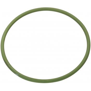 Spectra Premium LO103 Fuel Pump Tank Seal product image 1 of 1