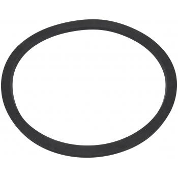 Spectra Premium LO146 Fuel Pump Tank Seal product image 1 of 1