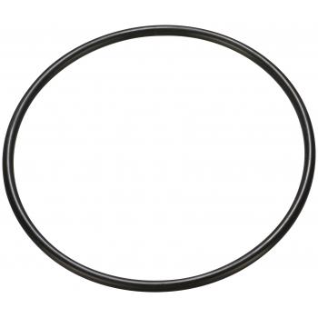 Spectra Premium LO167 Fuel Pump Tank Seal product image 1 of 1