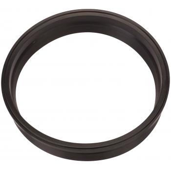 Spectra Premium LO189 Fuel Pump Tank Seal product image 1 of 1