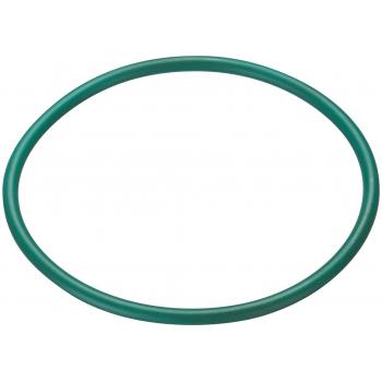 Spectra Premium LO193 Fuel Pump Tank Seal product image 1 of 1
