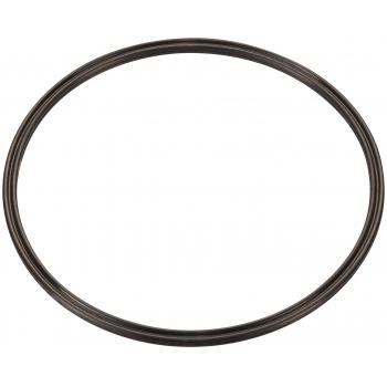 Spectra Premium LO204 Fuel Pump Tank Seal product image 1 of 1