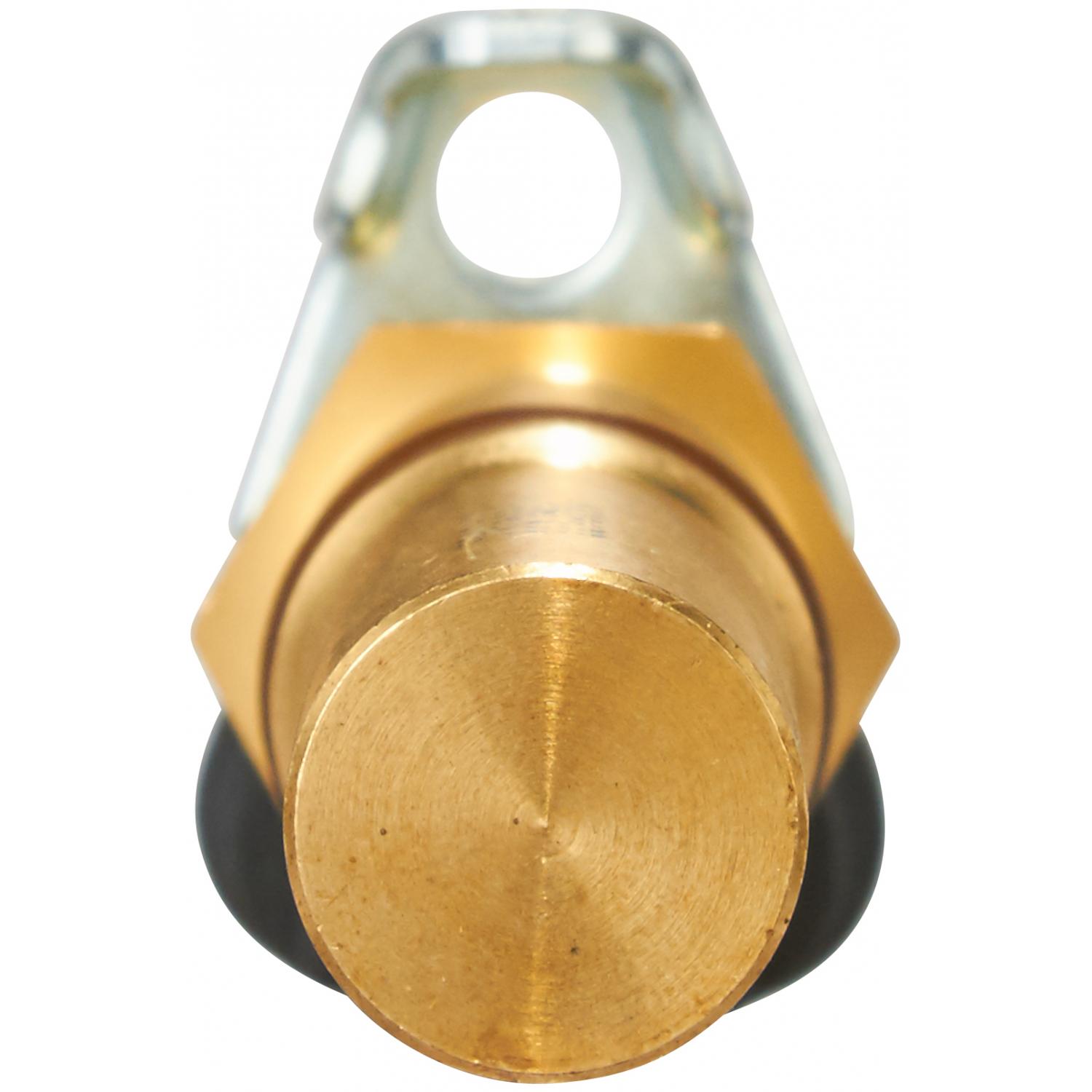 Spectra Premium S10080 Engine Crankshaft Position Sensor product image 1 of 5